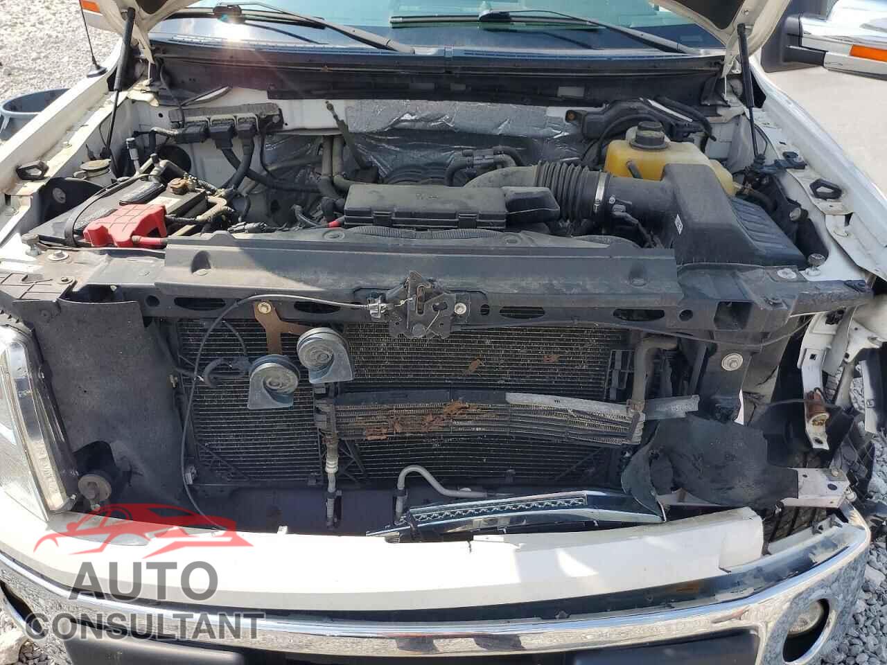 FORD F150 2013 - 1FTFX1EFXDFD09695