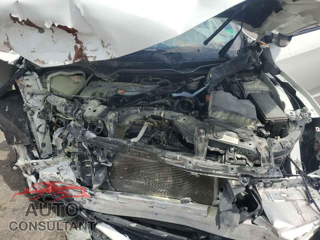 HONDA CIVIC 2019 - 2HGFC2F85KH545105