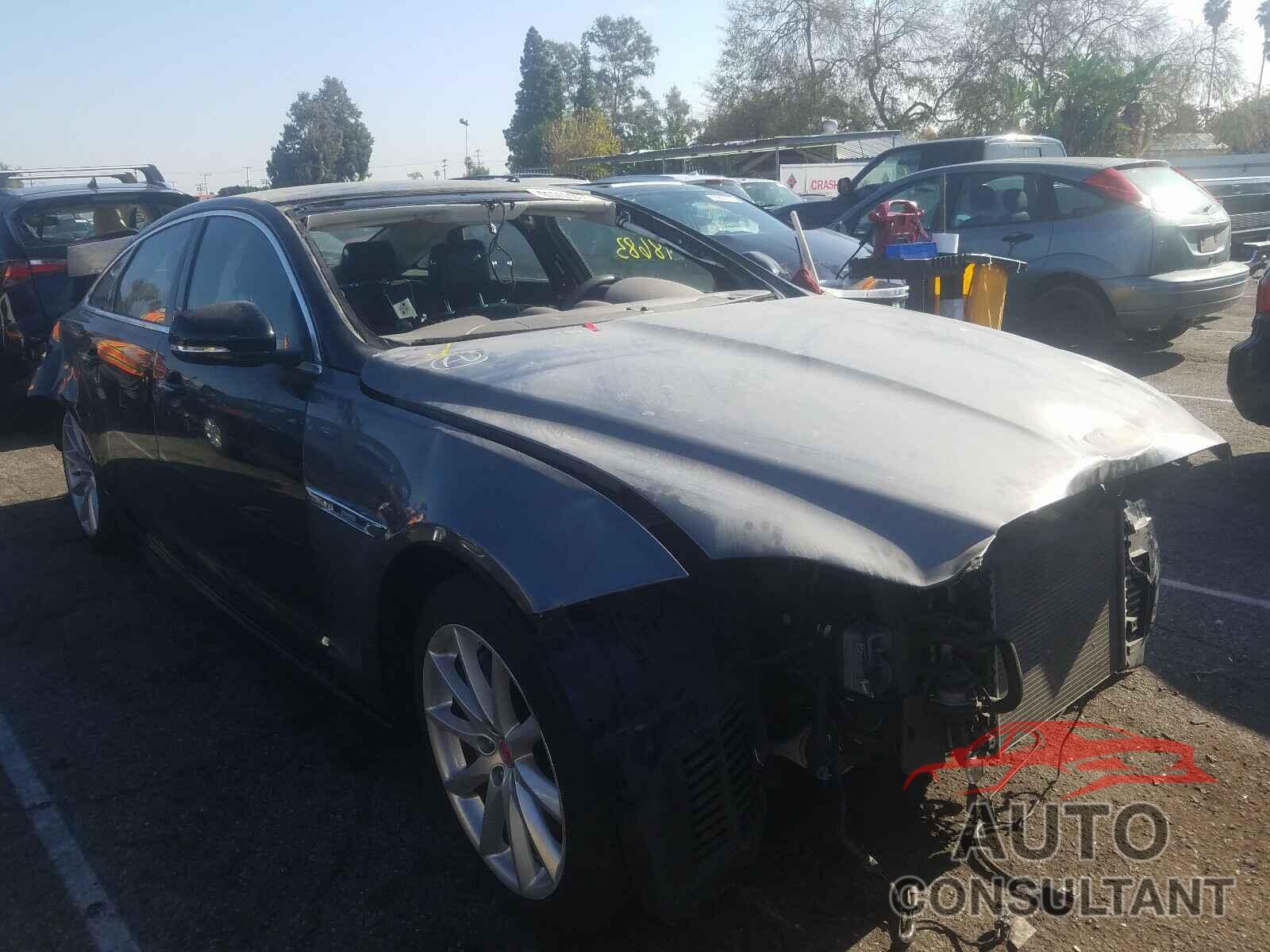 JAGUAR XJ 2018 - SAJWA1C7XJ8W14449