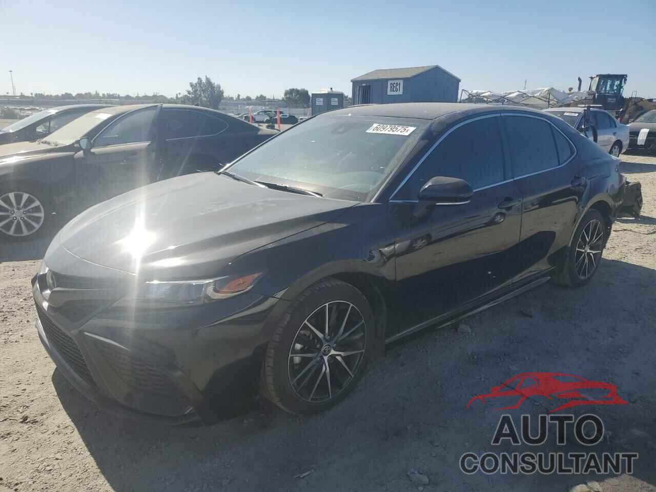 TOYOTA CAMRY 2024 - 4T1T11AK6RU898248