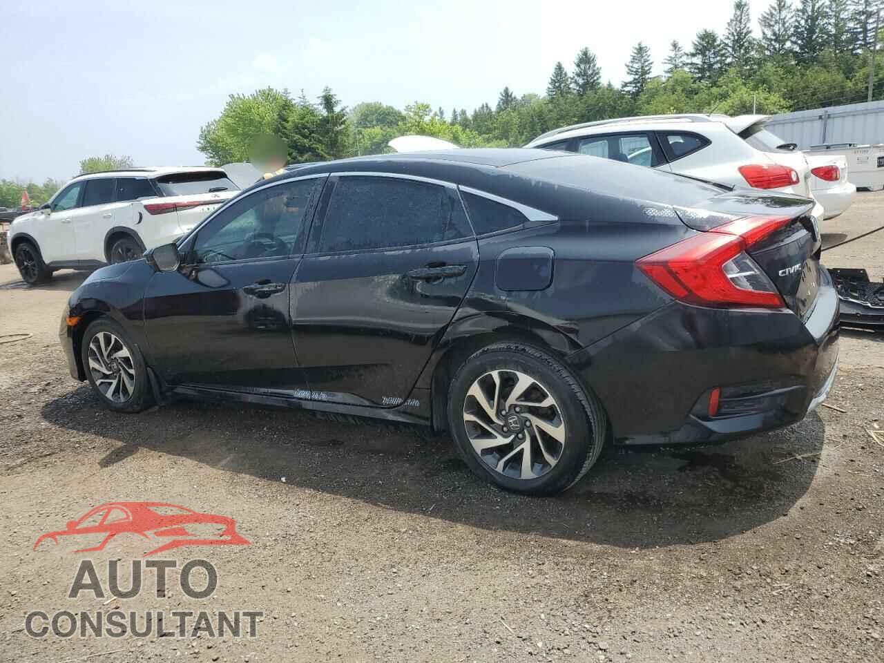 HONDA CIVIC 2019 - 2HGFC2F71KH008285