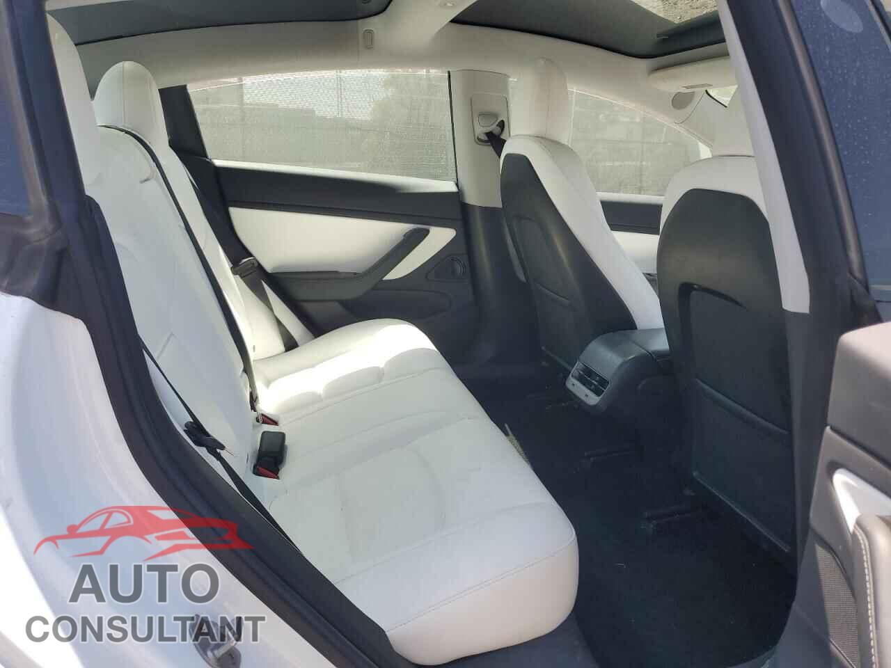 TESLA MODEL 3 2019 - 5YJ3E1EA3KF509302