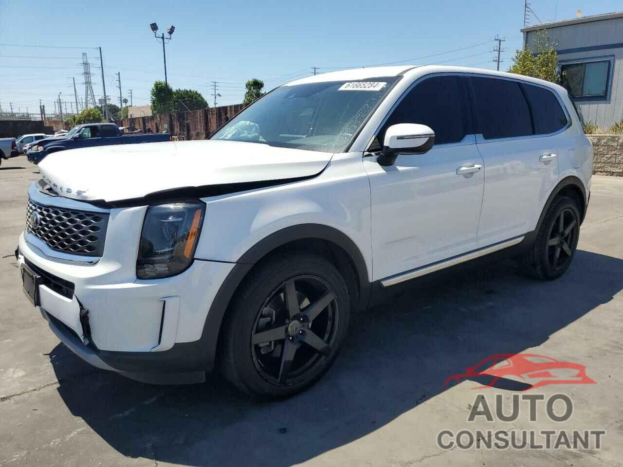 KIA TELLURIDE 2021 - 5XYP2DHC1MG097675