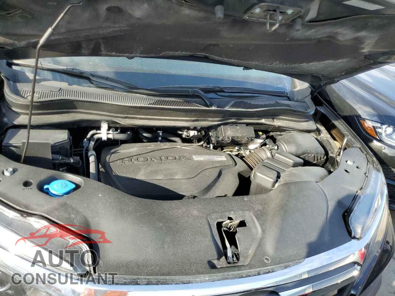 HONDA RIDGELINE 2019 - 5FPYK2F68KB000201
