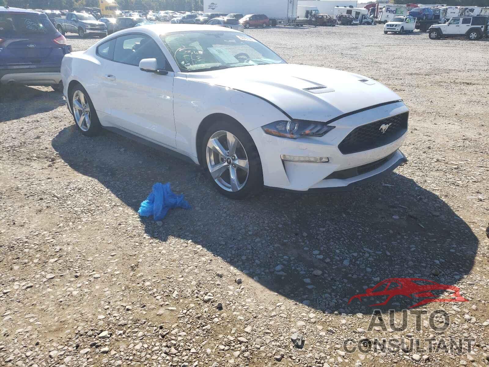 FORD MUSTANG 2019 - 1FA6P8TH0K5173843