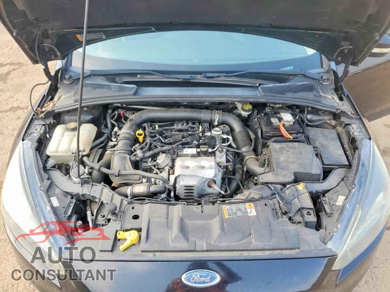 FORD FOCUS 2016 - 1FADP3FE2GL300560