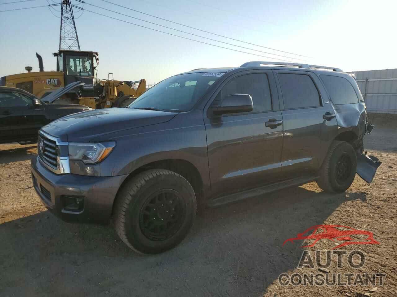TOYOTA SEQUOIA 2021 - 5TDAY5B19MS183028