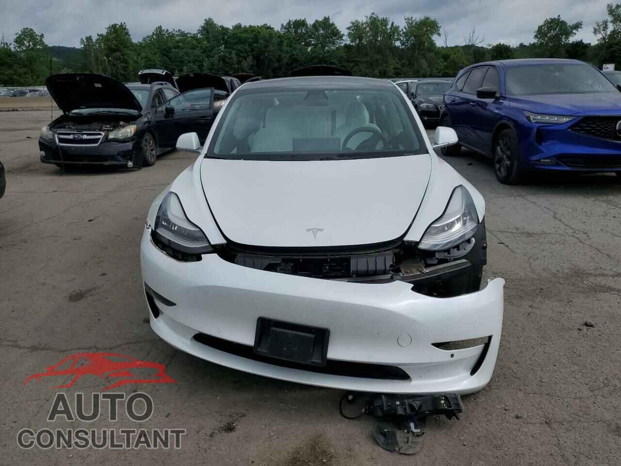 TESLA MODEL 3 2019 - 5YJ3E1EA0KF486822