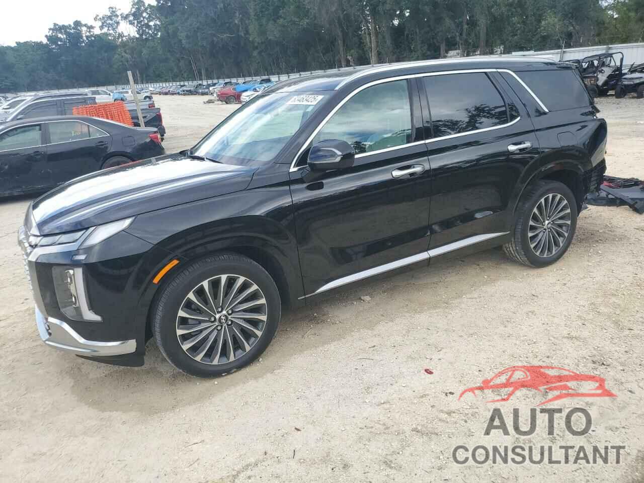 HYUNDAI PALISADE 2024 - KM8R74GE3RU757309