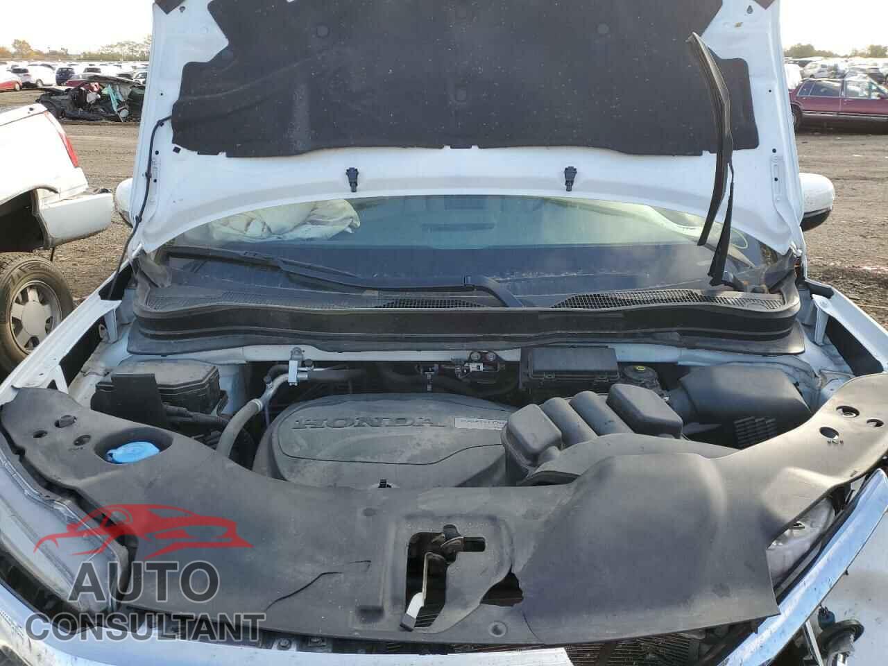HONDA RIDGELINE 2019 - 5FPYK3F77KB033530