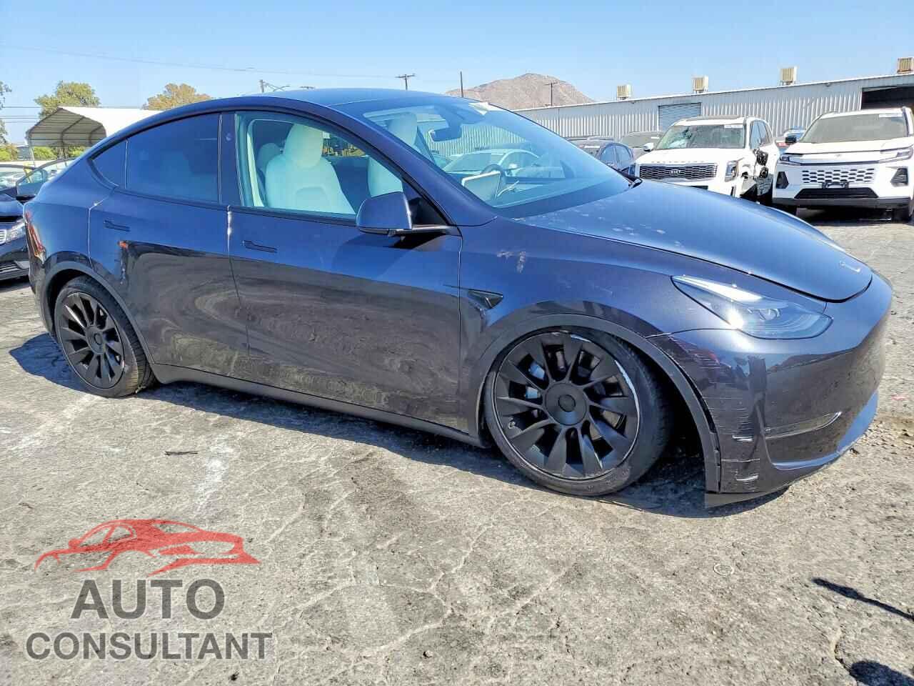TESLA MODEL Y 2024 - 7SAYGDEE2RF082552