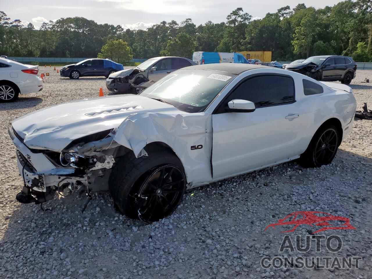 FORD MUSTANG 2014 - 1ZVBP8CF7E5212453