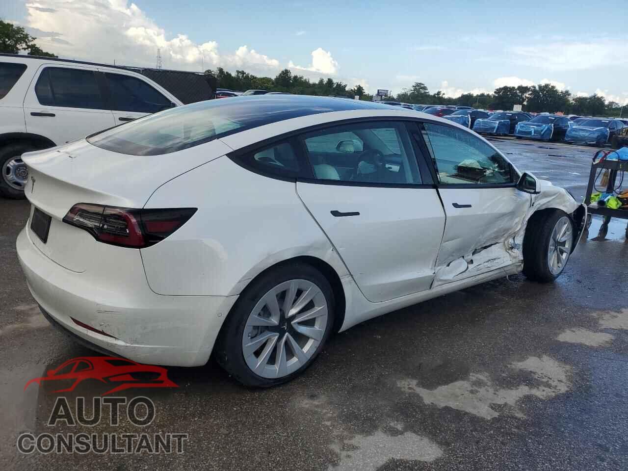 TESLA MODEL 3 2021 - 5YJ3E1EA7MF925713
