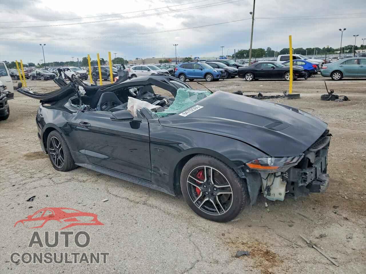 FORD MUSTANG 2019 - 1FA6P8CF0K5121949