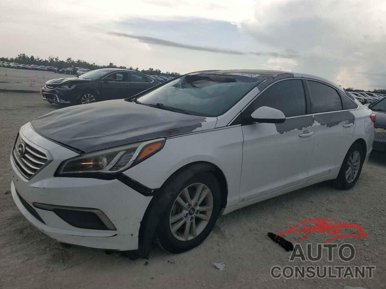 HYUNDAI SONATA 2017 - 5NPE24AF2HH492698