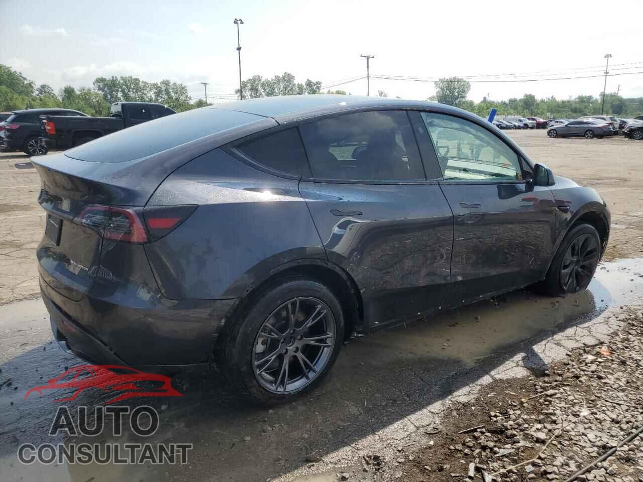 TESLA MODEL Y 2024 - 7SAYGDEEXRF129651