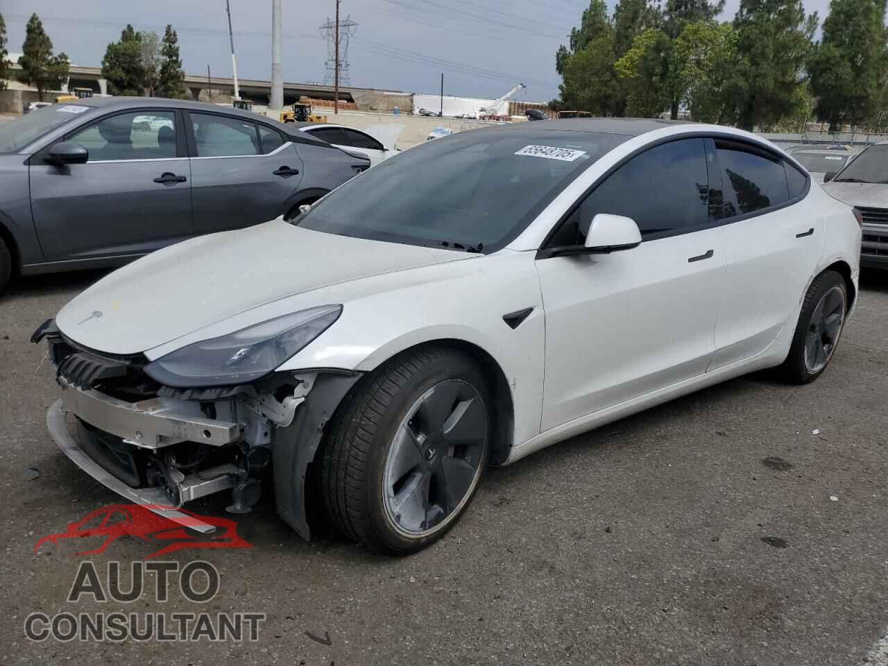 TESLA MODEL 3 2021 - 5YJ3E1EB5MF938100