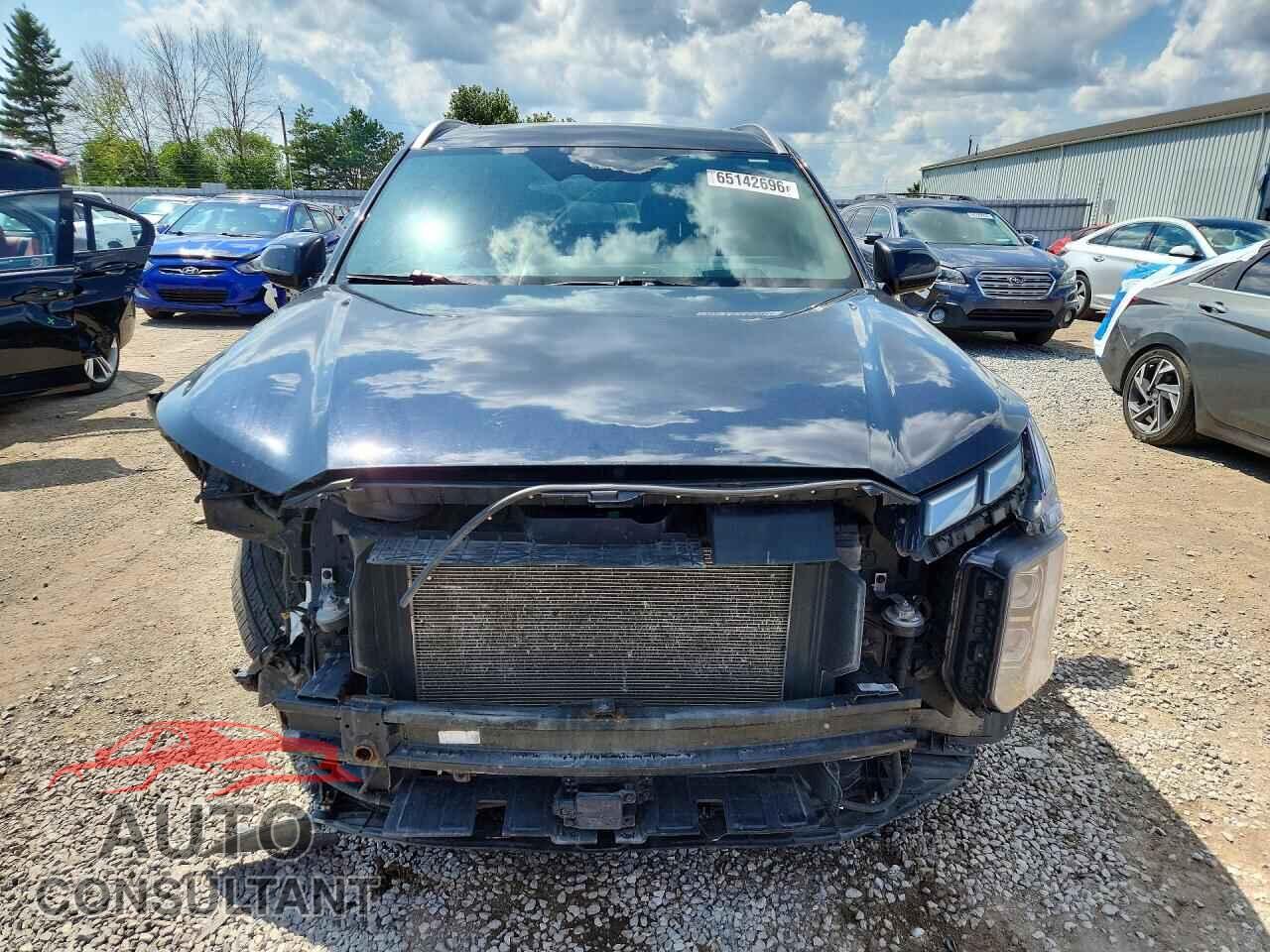 HYUNDAI PALISADE 2023 - KM8R5DGEXPU603246