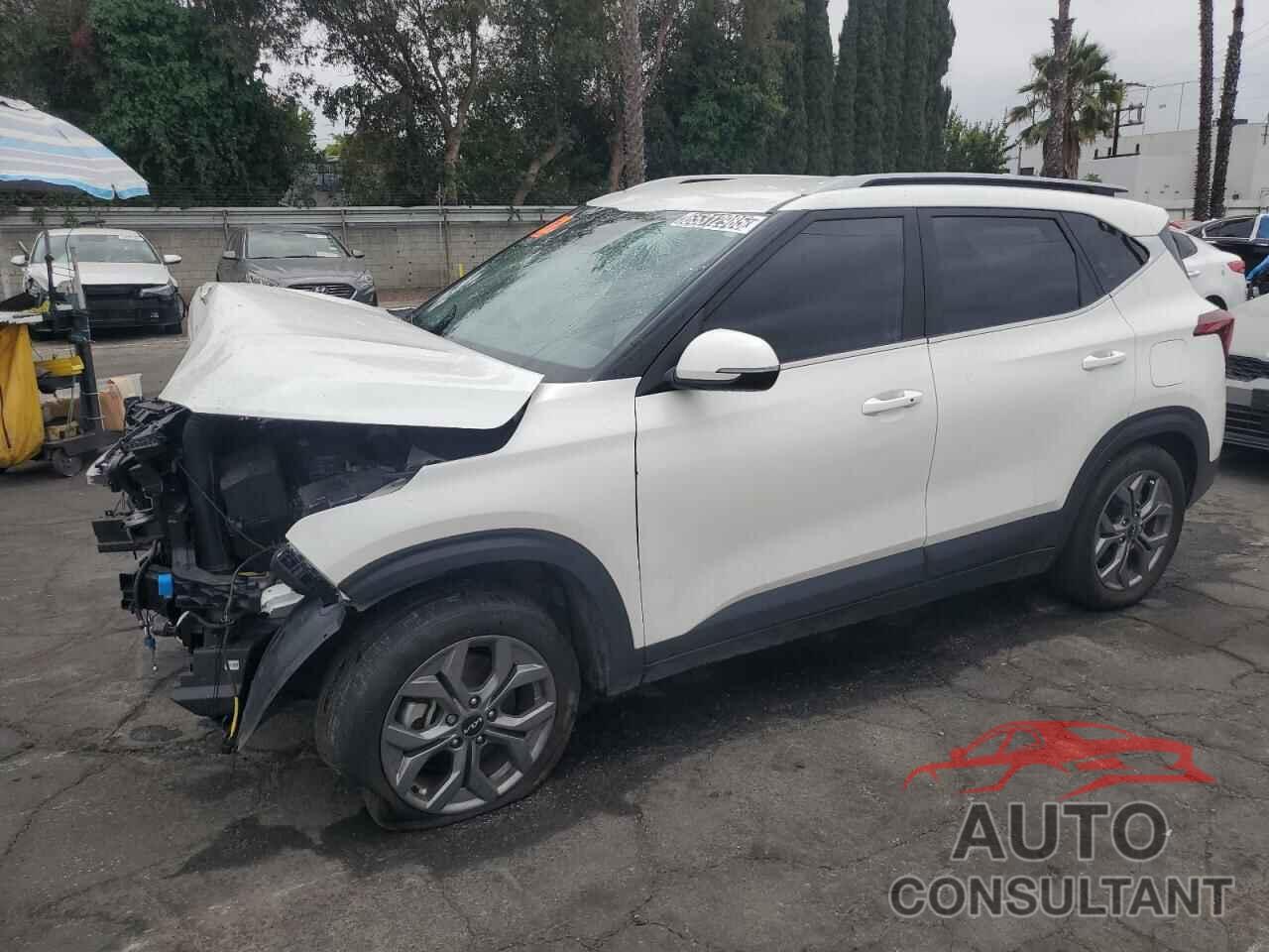 KIA SELTOS 2024 - KNDEUCAA8R7542616