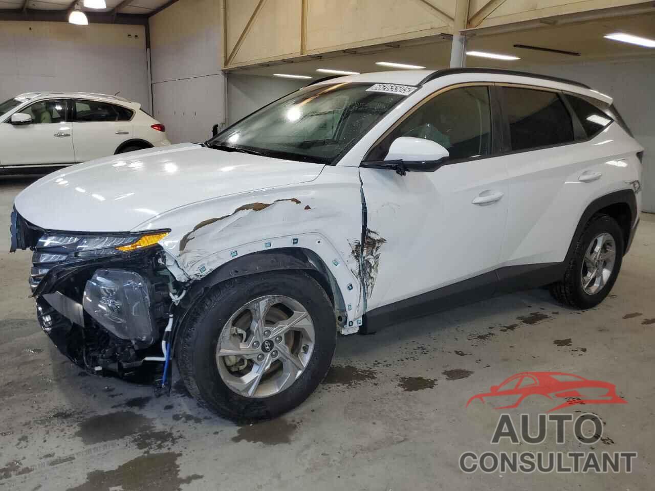 HYUNDAI TUCSON 2024 - 5NMJBCDE7RH299277