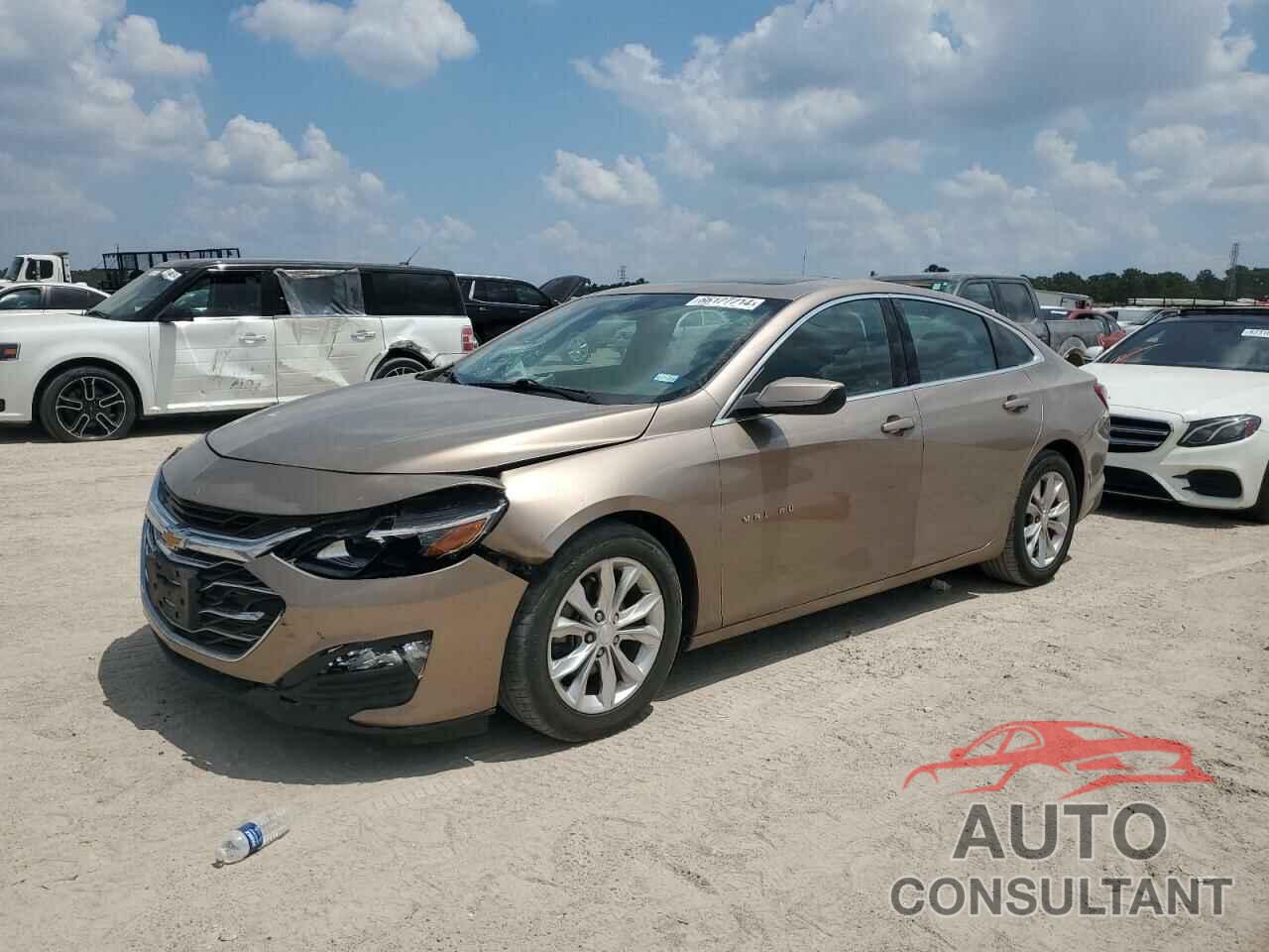 CHEVROLET MALIBU 2019 - 1G1ZD5ST0KF109616
