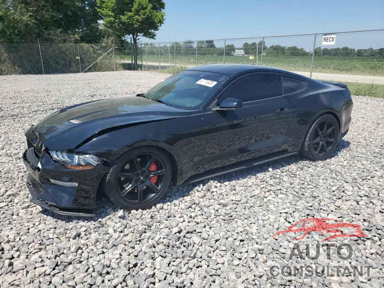 FORD MUSTANG 2019 - 1FA6P8CF6K5102001