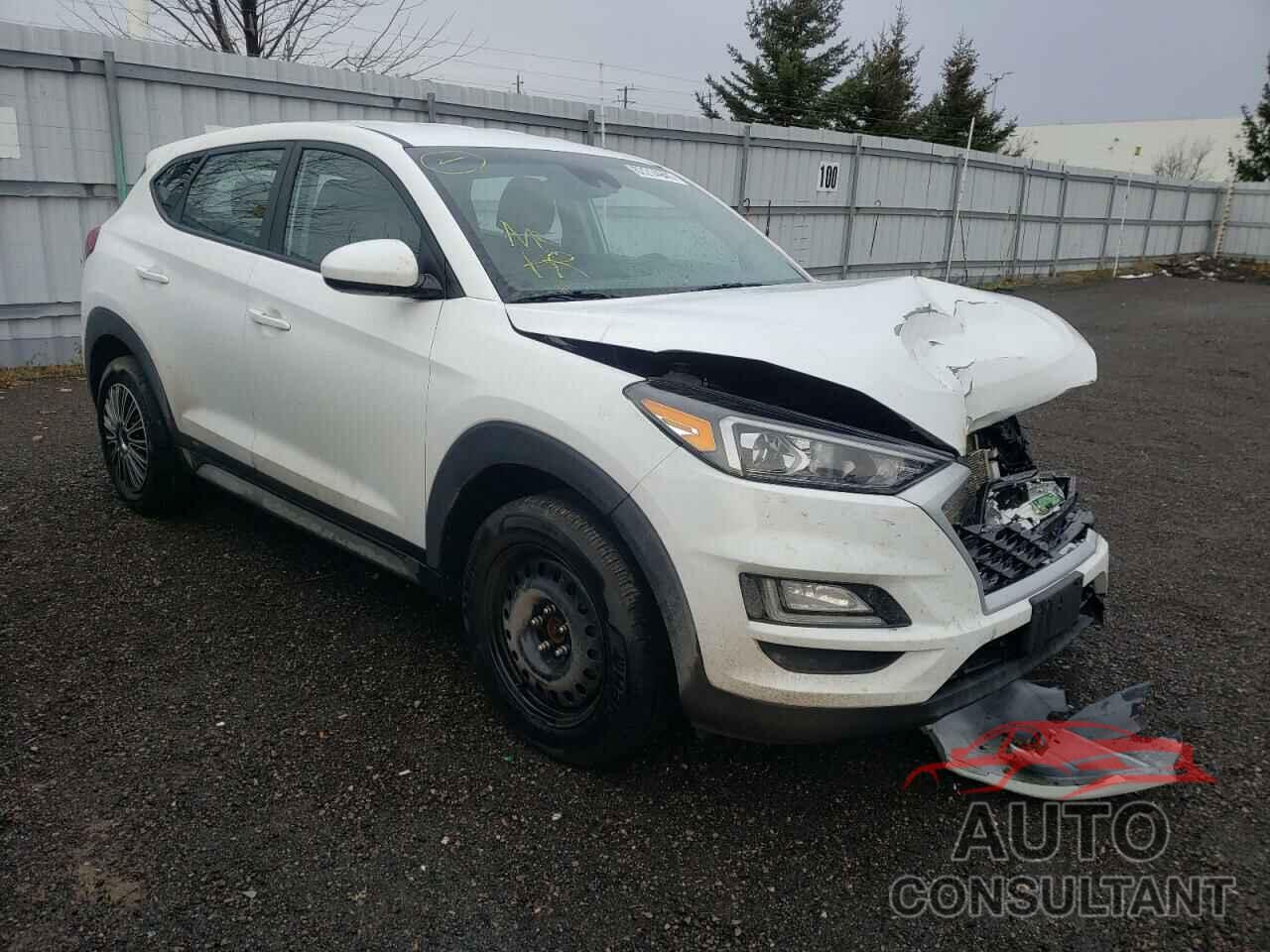 HYUNDAI TUCSON 2019 - KM8J2CA48KU055336