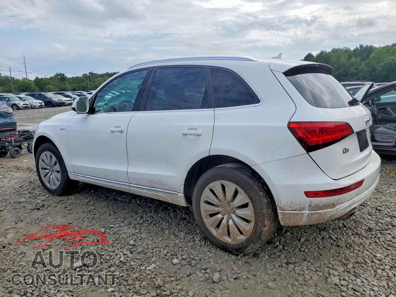AUDI Q5 2013 - WA1C8AFP5DA007309