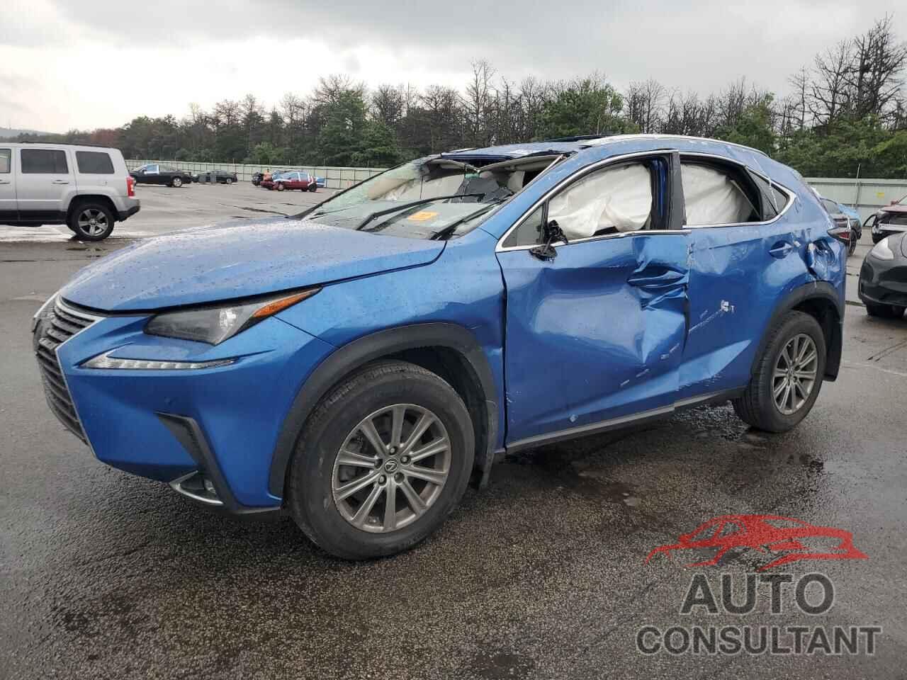 LEXUS NX 2019 - JTJBARBZ2K2204907