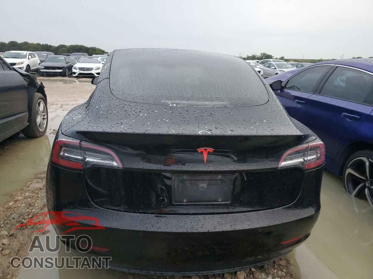 TESLA MODEL 3 2019 - 5YJ3E1EA6KF313256