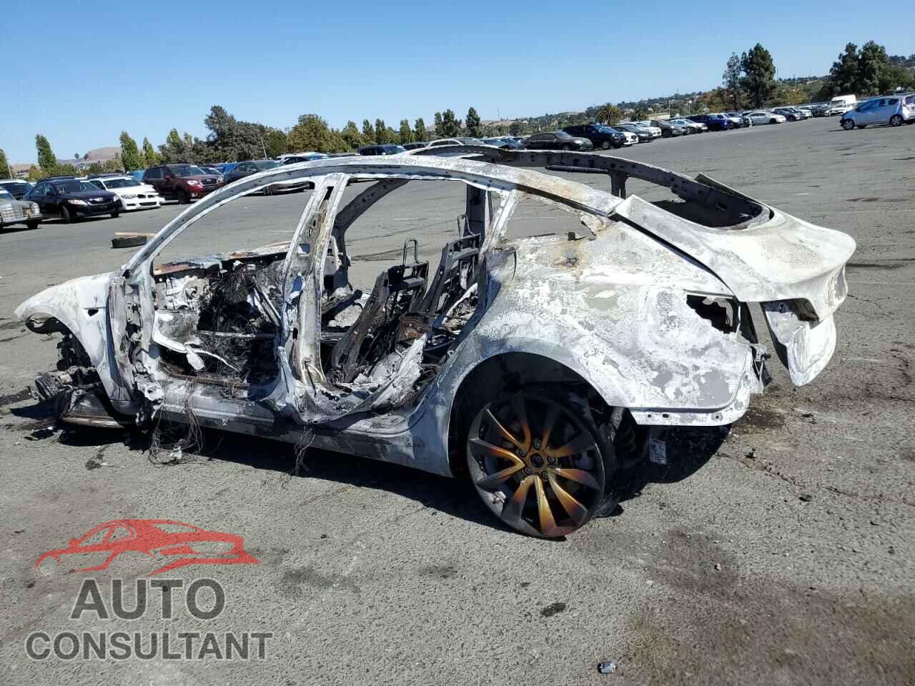 TESLA MODEL 3 2019 - 5YJ3E1EA1KF447897