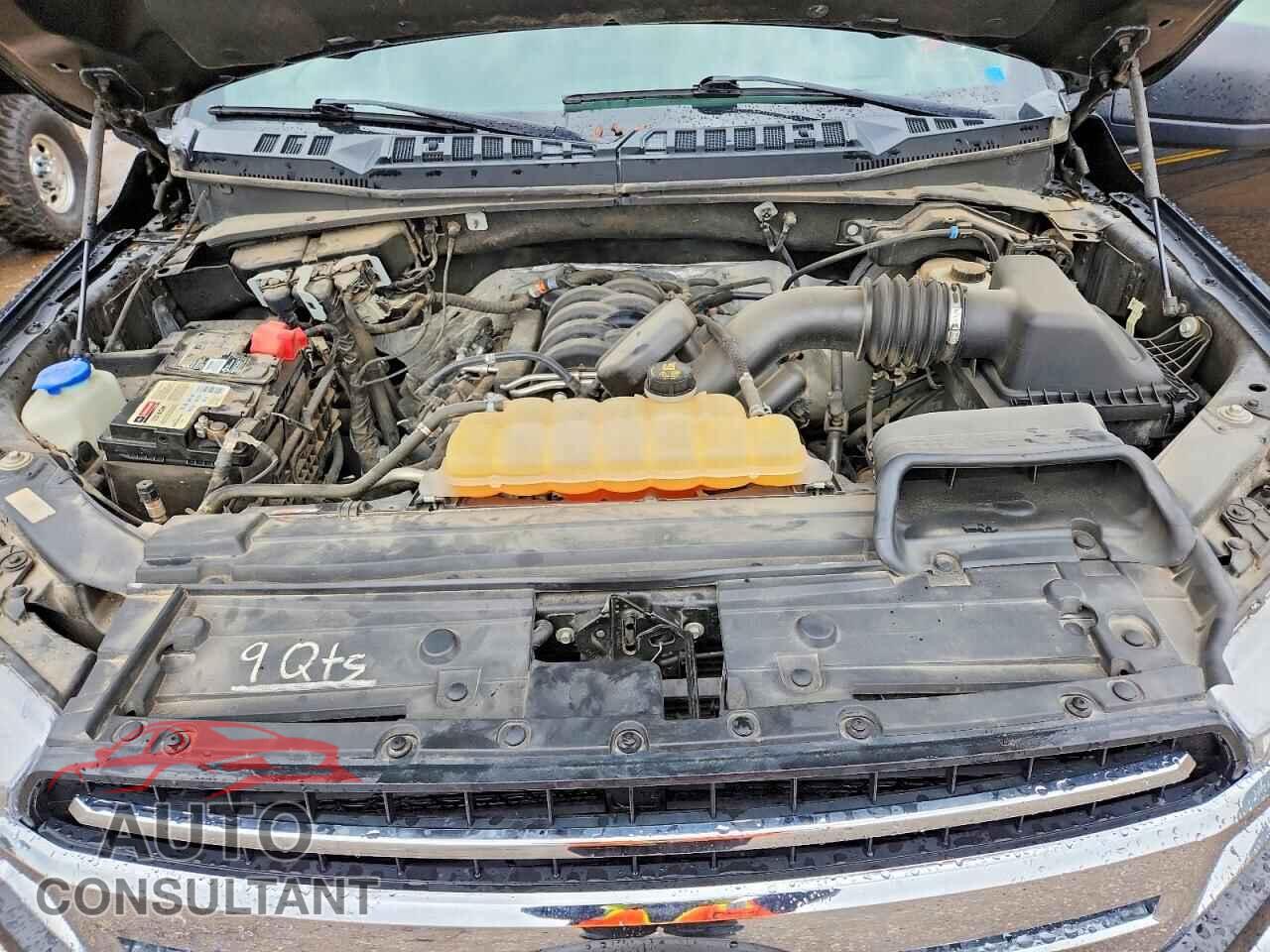 FORD F150 2019 - 1FTEW1E52KFA20278