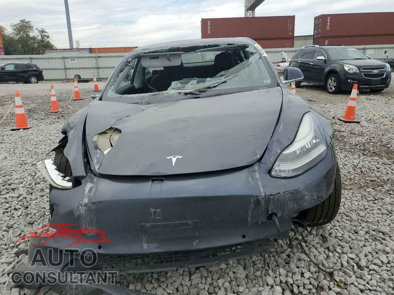TESLA MODEL 3 2019 - 5YJ3E1EB5KF205736