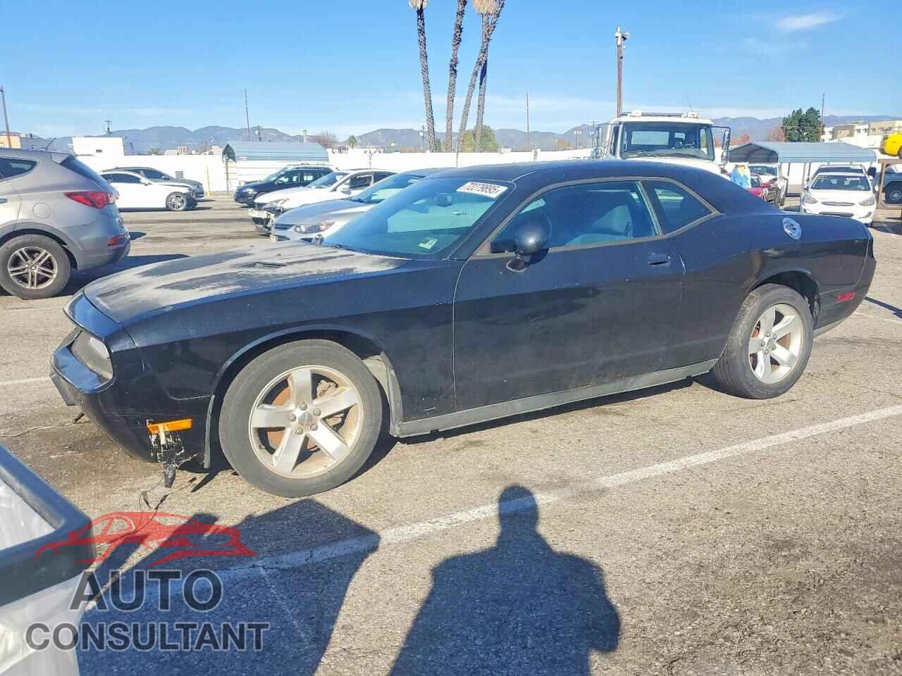 DODGE CHALLENGER 2013 - 2C3CDYAG2DH737170