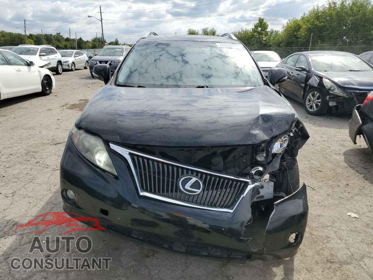 LEXUS RX350 2010 - 2T2BK1BA1AC066302