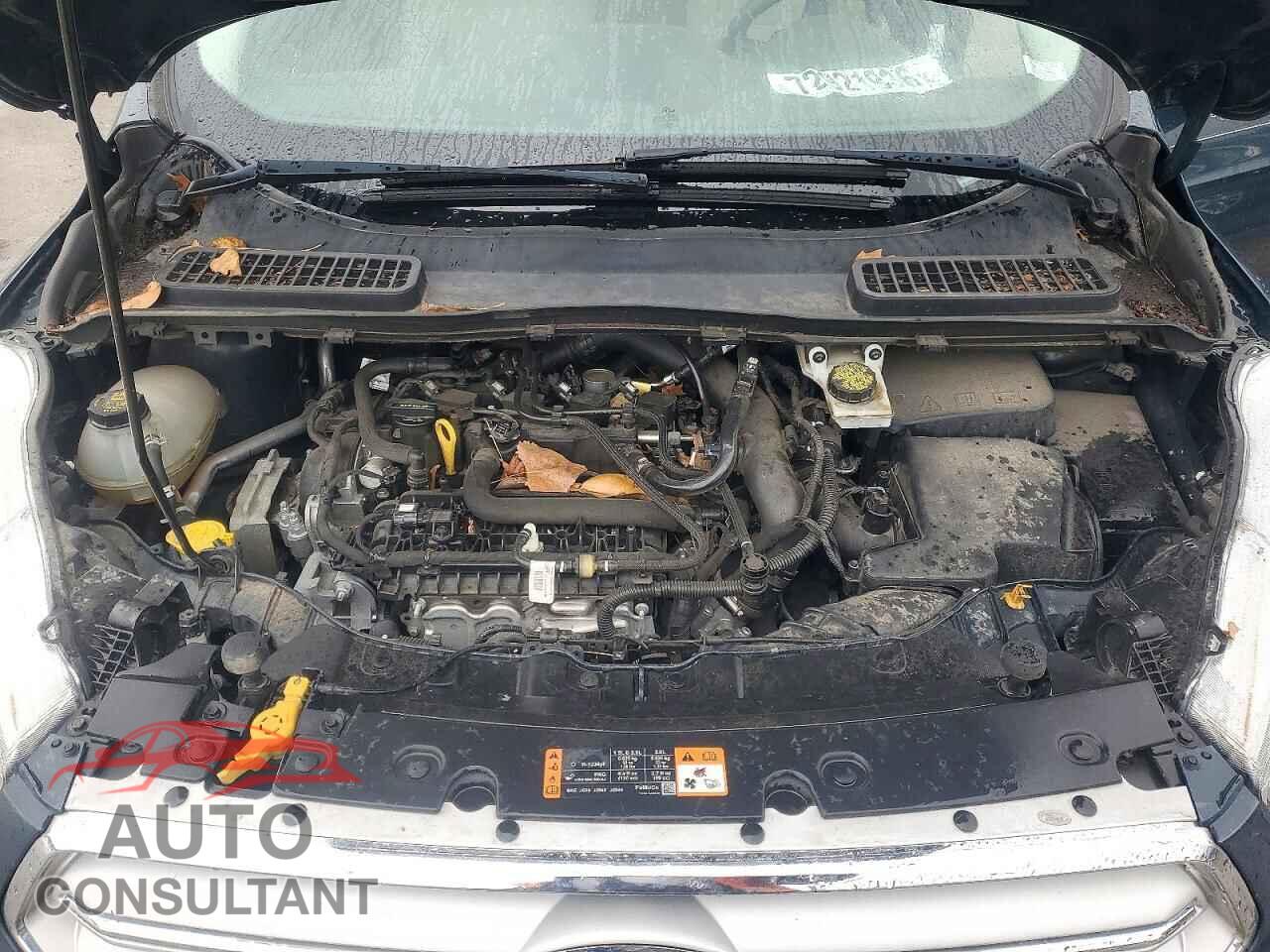 FORD ESCAPE 2019 - 1FMCU0GD7KUC21189