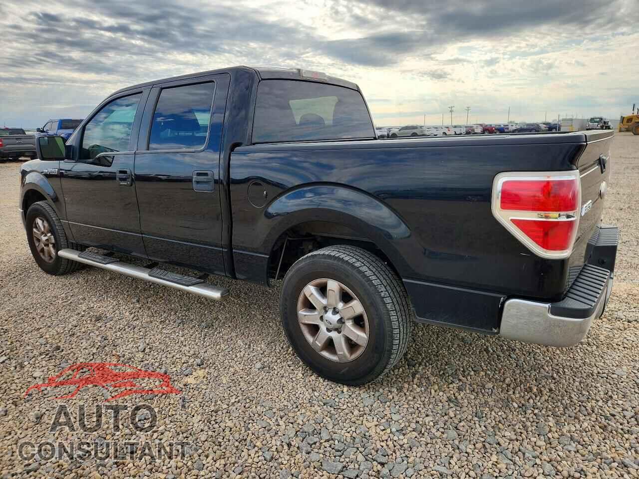 FORD F150 2011 - 1FTFW1CF2BFB93542