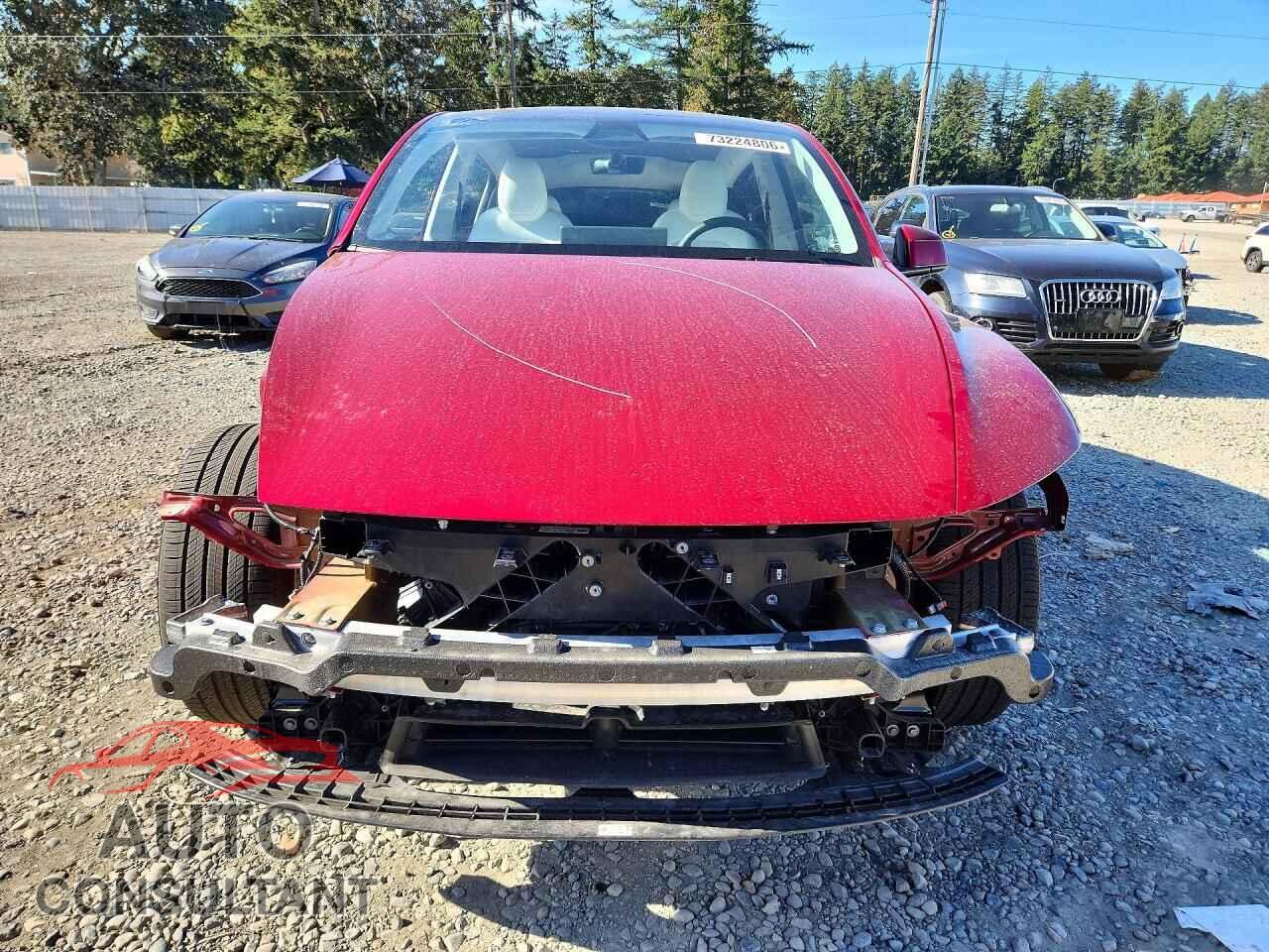 TESLA MODEL Y 2026 - 7SAYGDEE1TF371767