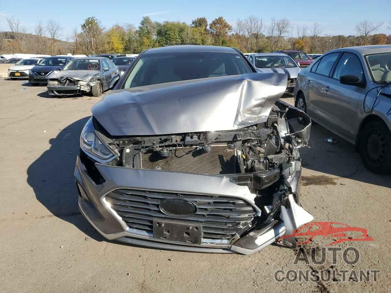 HYUNDAI SONATA 2024 - 5NPE24AF1KH745677