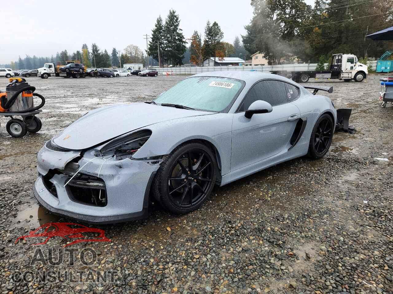PORSCHE CAYMAN 2015 - WP0AA2A82FK164123
