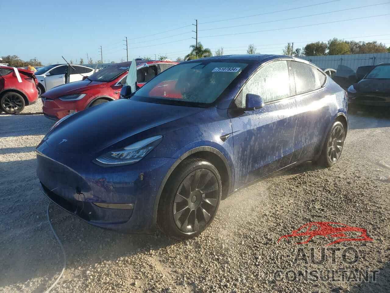 TESLA MODEL Y 2022 - 7SAYGDEE9NF381854