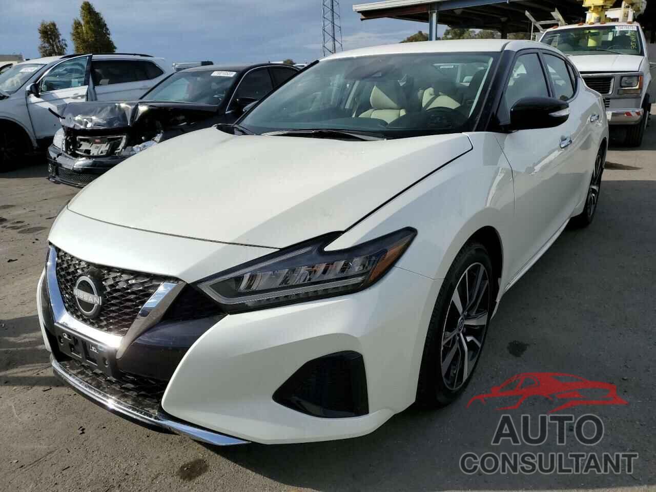 NISSAN MAXIMA 2023 - 1N4AA6CVXPC506722