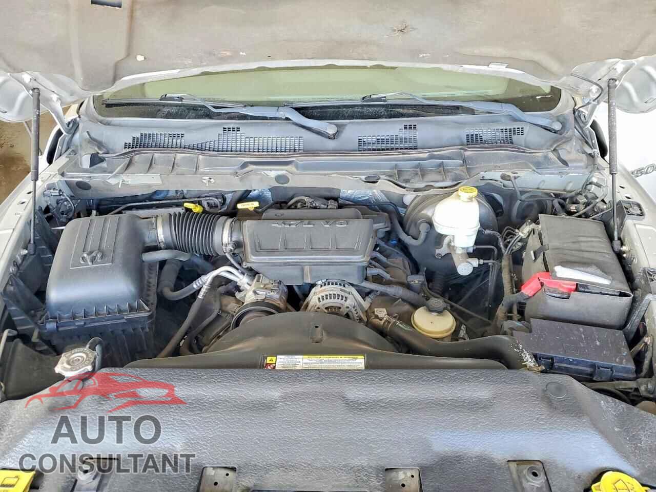 DODGE RAM 1500 2011 - 1D7RB1GP2BS703008