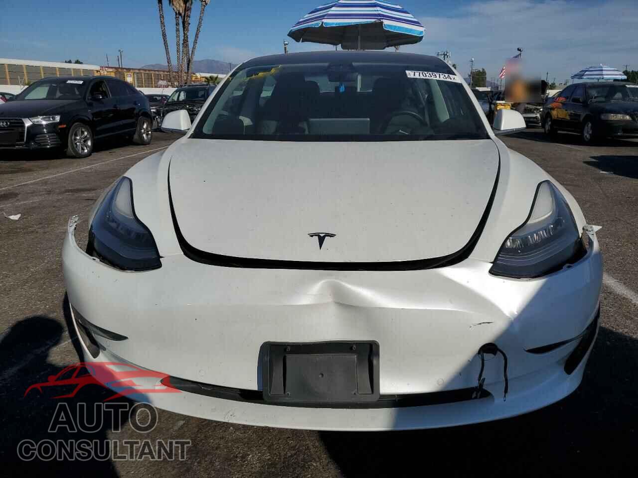 TESLA MODEL 3 2019 - 5YJ3E1EA5KF311787
