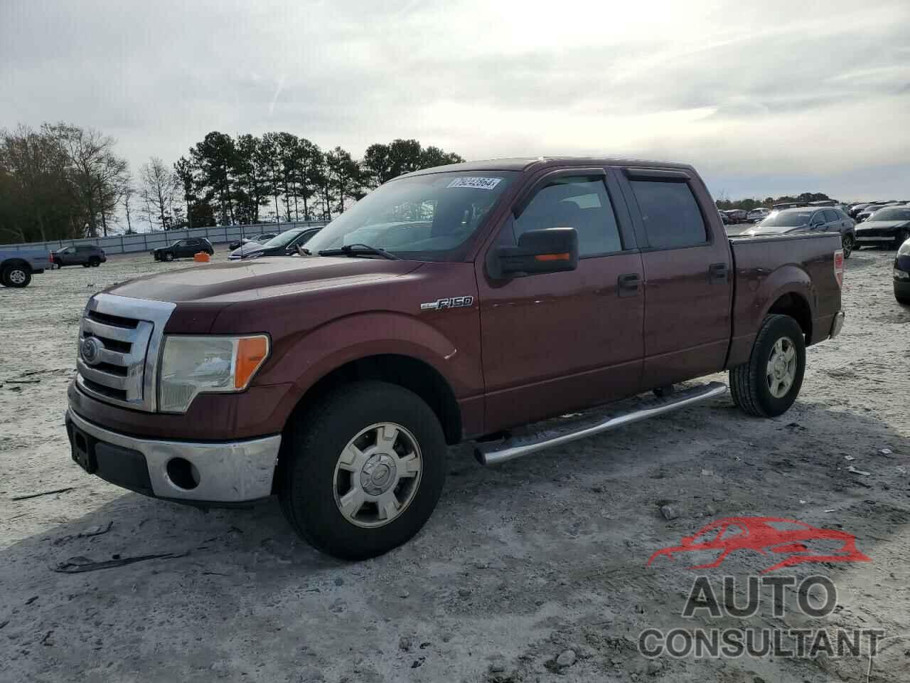 FORD F-150 2010 - 1FTFW1CV8AFC74969