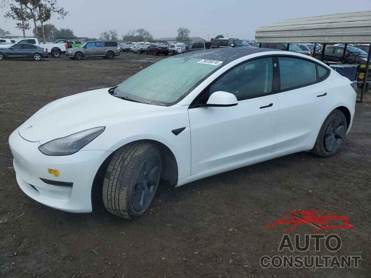 TESLA MODEL 3 2021 - 5YJ3E1EA9MF930461