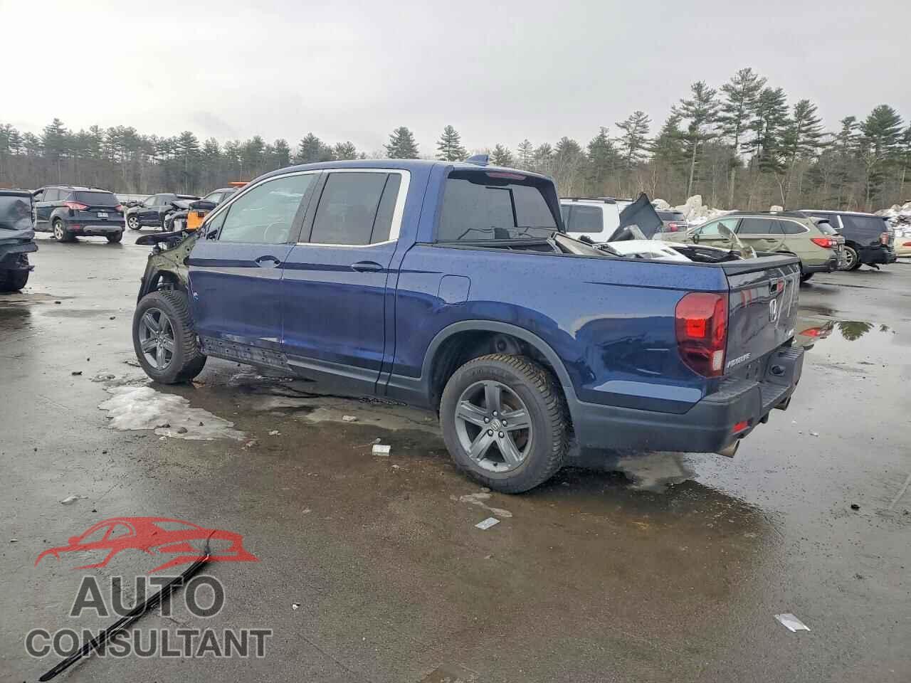 HONDA RIDGELINE 2021 - 5FPYK3F59MB011031
