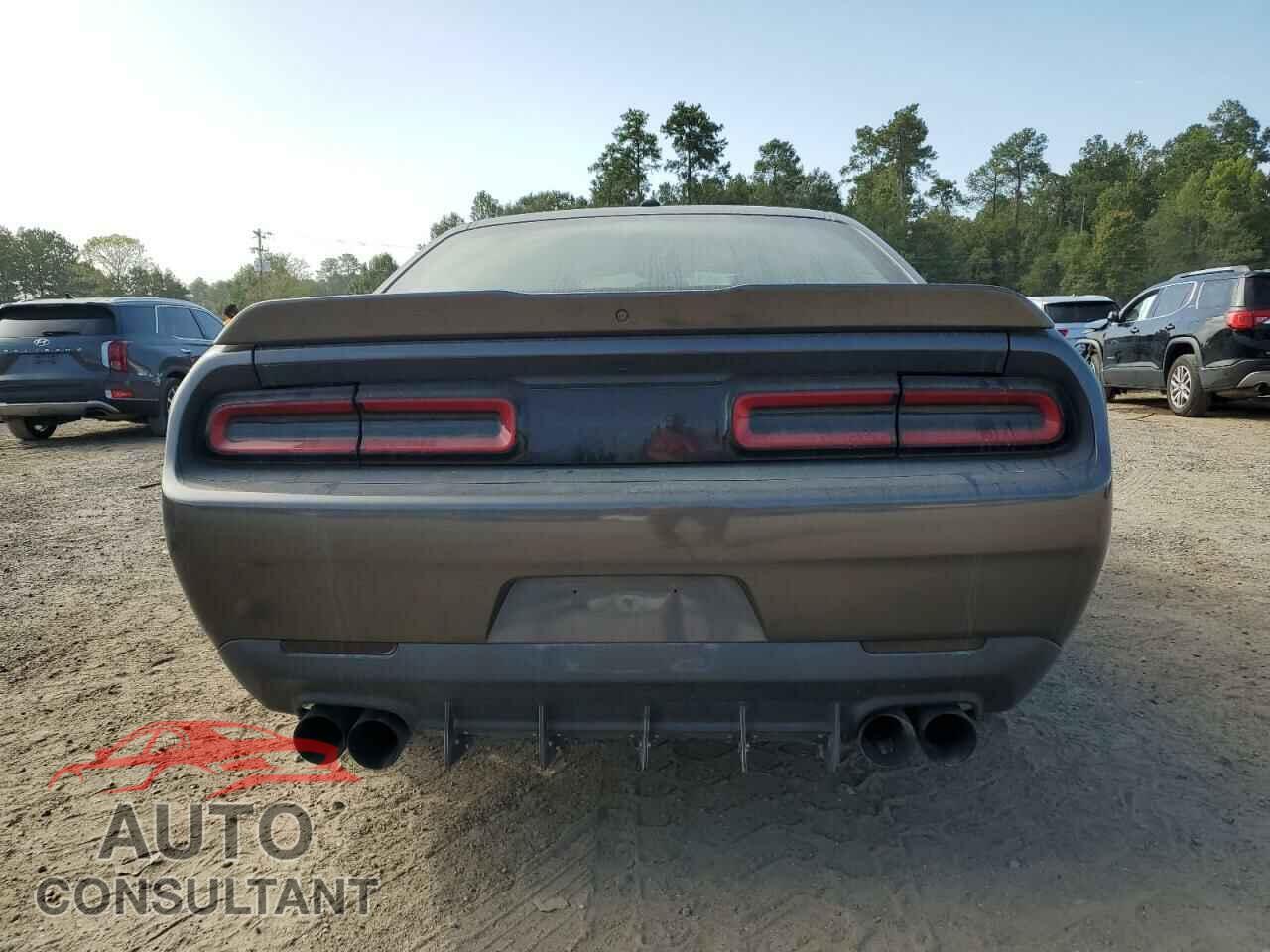 DODGE CHALLENGER 2019 - 2C3CDZAG7KH723512