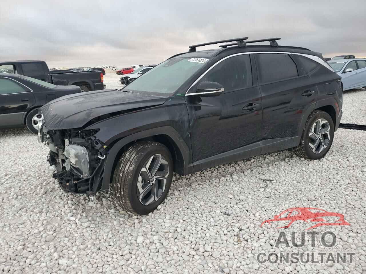 HYUNDAI TUCSON 2024 - KM8JECD16RU224692