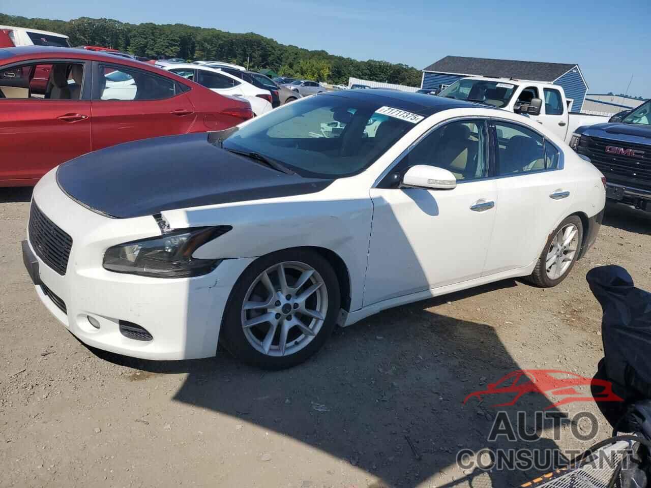 NISSAN MAXIMA 2009 - 1N4AA51EX9C801674